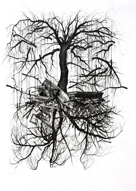 Baum