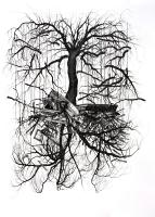 Baum